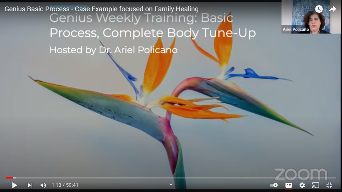 Genius Basic Process – Case Example focused on Family Healing
